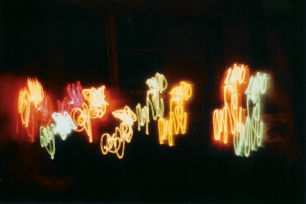 negative photo of bush